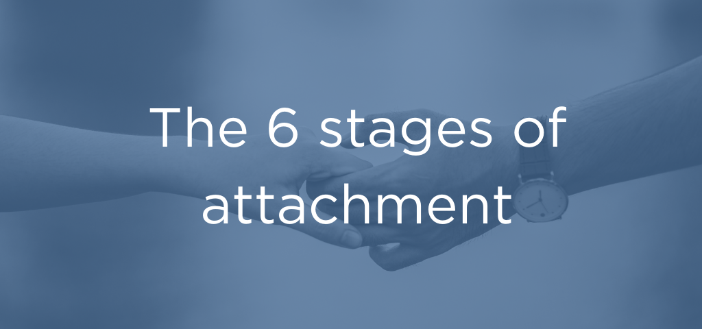 6 stages of attachment header